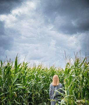Mädchen im Maislabyrinth von Ellen Snoek