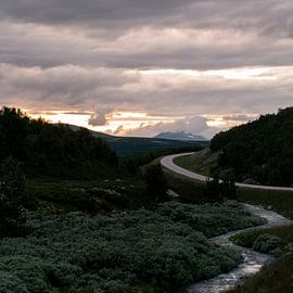Contre la lumière du soir sur Bart Berendsen