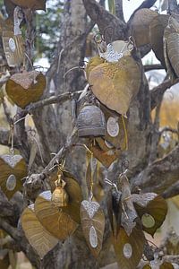 Goldene Blätter und Glocken - Tempelbaum in Chiang Mai