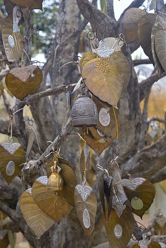 Feuilles d'or et cloches - arbre du temple à Chiang Mai