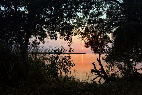 Oranje zonsopgangboven mistige graslanden Okavango Delta, Botswana, Afrika