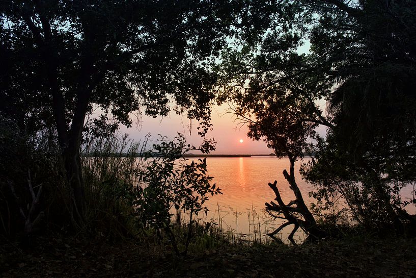 Oranje zonsopgangboven mistige graslanden Okavango Delta, Botswana, Afrika van Tjeerd Kruse