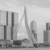 Le pont Erasmus et le Rotterdammer en noir et blanc sur Lizanne van Spanje