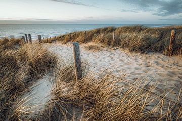 Duin, strand en zee aan de Hollandse kust van Dirk van Egmond