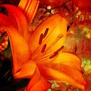 Une hémérocalle orange aux fleurs pittoresques. par Helga Blanke Aperçu