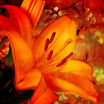 Een oranje daglelie met schilderachtige bloesems. van Helga Blanke Photo Art