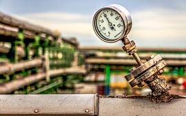 ideale temperatuur von wim harwig