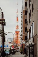 Sérénité naturelle : une symphonie de rizières balinaises Élégance iconique : la tour de Tokyo à la lumière du jour