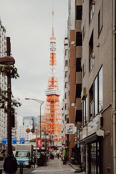 Sérénité naturelle : une symphonie de rizières balinaises Élégance iconique : la tour de Tokyo à la lumière du jour sur Sharon Kastelijns