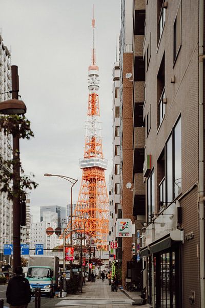 Natürliche Gelassenheit: Eine balinesische Reisfeld-Symphonie Ikonische Eleganz: Tokio Tower im Tageslicht von Sharon Kastelijns