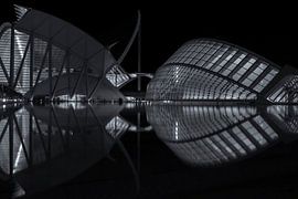 Valencia - City of Arts and Sciences by Bas Bakema