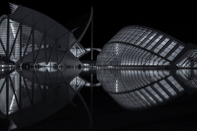 Valencia - City of Arts and Sciences von Bas Bakema