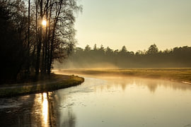 Une journée glaciale au parc de Hoge Veluwe sur Ton Ellenbroek