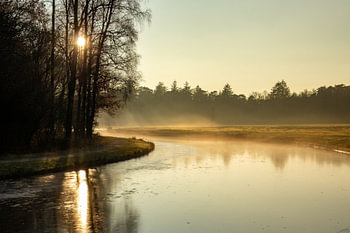 Une journée glaciale au parc de Hoge Veluwe