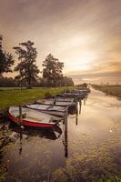 Bootjes op een rij