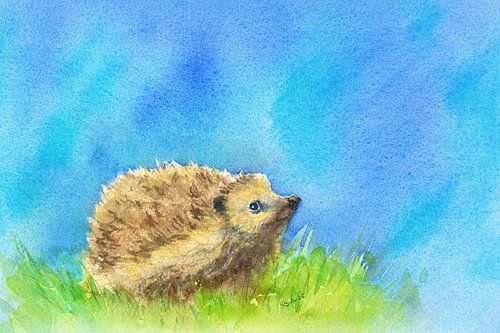 Hérisson au printemps aquarelle