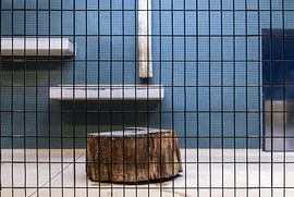 Leerer Raubtierkäfig mit Holzstamm von Alexander Baumann