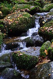 Mountain stream black forest 1.1 by Ingo Laue