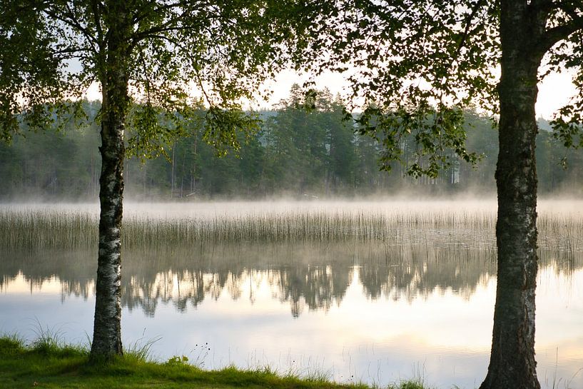 Lever de soleil avec formation de brouillard sur un lac en Suède, à l'aube par Martin Köbsch