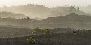 Early morning fog in Parque Natural de Los Volcanes