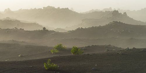 Vroege ochtendmist in Parque Natural de Los Volcanes