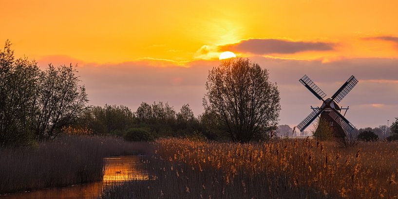 Sonnenaufgang an der Noordermolen von Henk Meijer Photography