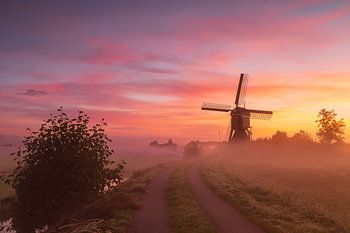 De broekmolen in de vroege mistige ochtend voor zonsopkomst