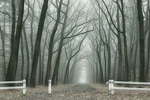 Nebelige Straße von Lars van de Goor