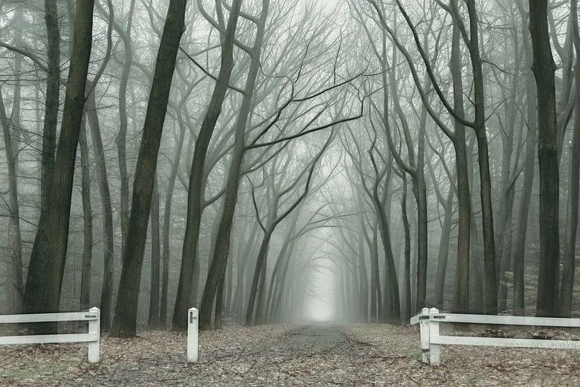 Open by Lars van de Goor