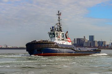 Tugboat in action on the Maasvlakte by scheepskijkerhavenfotografie