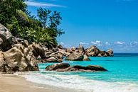Plage de rêve Anse Georgette - Praslin - Seychelles par Max Steinwald Aperçu
