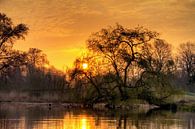 Sonnenaufgang im Vondelpark von Dennis van de Water Miniaturansicht