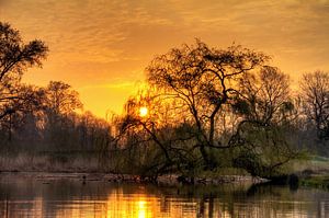 Vondelpark zonsopkomst van Dennis van de Water