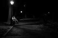 Couple in love on a bench in Central Park in New York City by Wout Kok thumbnail