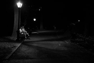 Couple amoureux sur un banc à Central Park, à New York. sur Wout Kok