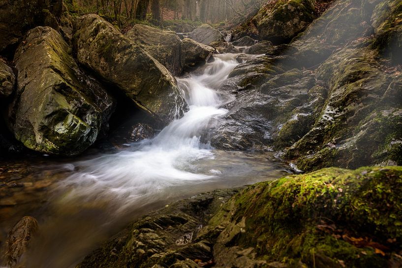 De Belgische Ardennen by Bjorn Dockx