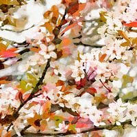 Blossom