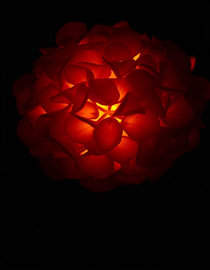 „Ember Hydrangea X“ van Ember Bloom