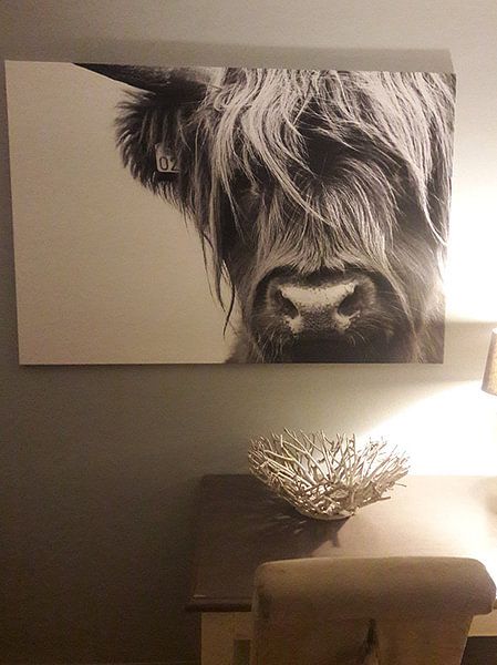 Customer photo: Portrait Scottish Highlander black and white by Sandra van Kampen, on canvas