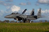 F-15E Strike Eagle de l'armée de l'air des États-Unis par Dirk Jan de Ridder - Ridder Aero Media Aperçu