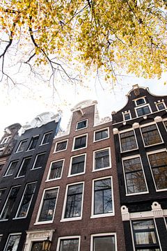 Grachtenpanden in Amsterdam van Alwin Kroon