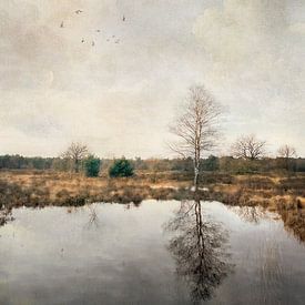 Een zondagochtend van Iris van Heusden