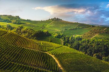 Wijngaarden op de heuvels van Langhe in de ochtend van Stefano Orazzini