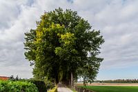Zuidendijk