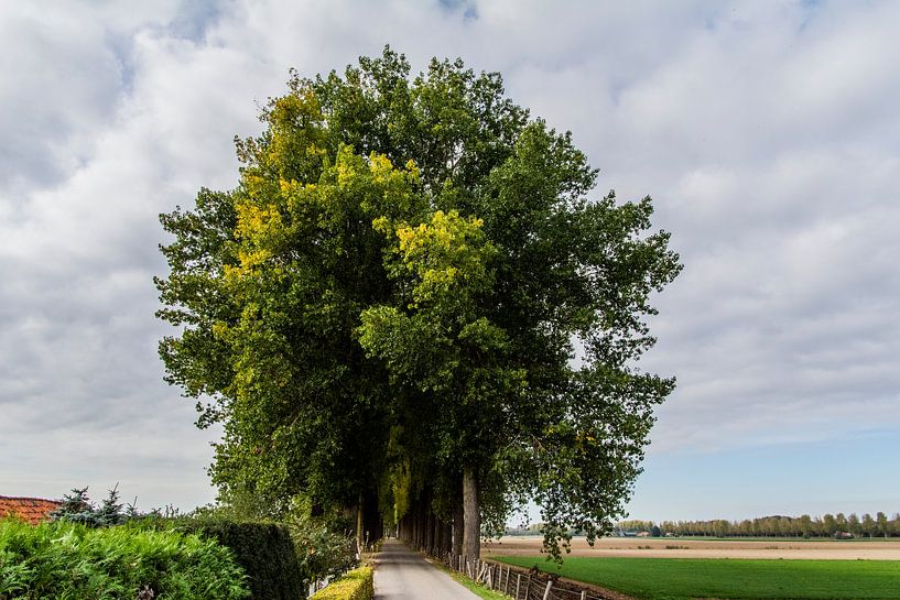 Zuidendijk by Henk Hartzheim