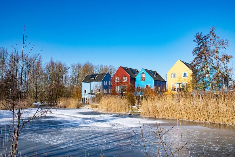 Scandinavian dreaming by Ingrid de Vos - Boom