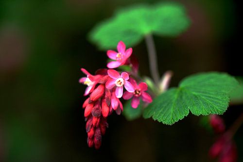 wachtend op een beetje meer zon