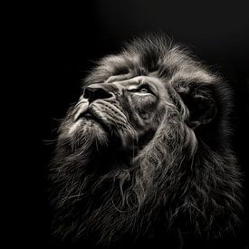 schitterend dramatisch portret van een mannetjes leeuw die naar boven kijkt van Margriet Hulsker