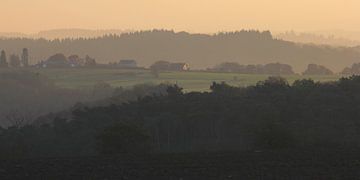 Ardennen in de morgen van Rob Hendriks