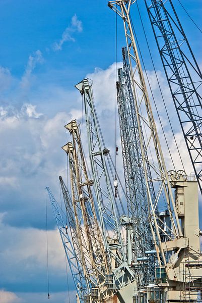 Loading Cranes by Norbert Sülzner